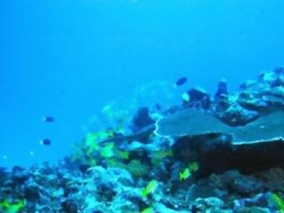 Η κλιματική αλλαγή επηρεάζει την οξίνιση των ωκεανών