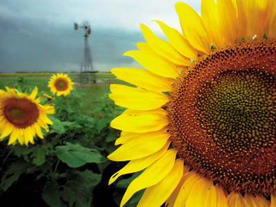 Αλλάζουν τα επιχειρηματικά μοντέλα στην ενέργεια