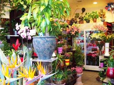 Ανθοπωλείο έγινε το γραφείο του βουλευτή