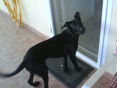 Χάθηκε ο Δίας