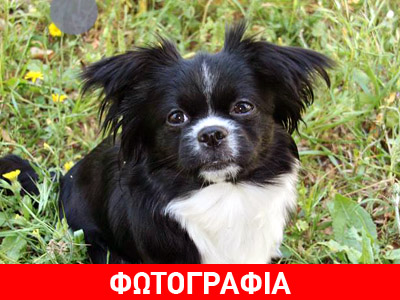 Η δεσποινίς χάθηκε από την Άνω Γλυφάδα