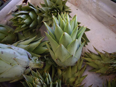 Φεστιβάλ αγκινάρας!