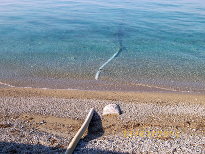 Αυξημένα τα ποσοστά μόλυνσης του θαλασσινού νερού