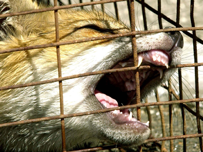 «Ο σκοπός δεν αγιάζει τα μέσα»