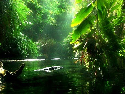 Ο Αμαζόνιος σε ιδιωτικά χέρια