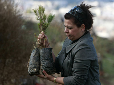 Ξεκίνησαν την αναδάσωση στην Ρόδο