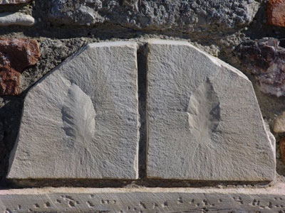 Απολίθωμα φύλλου στην είσοδο εκκλησίας