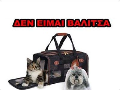 Οδηγός του ΚΤΕΛ απαγορεύει τη μεταφορά ζώων στην καμπίνα των επιβατών