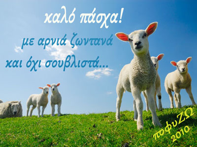 Διαμαρτύρονται για τη μεγάλη σφαγή