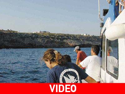 Η Creta Farm μήνυσε εκείνους που ξεσκέπασαν το περιβαλλοντικό έγκλημα στο Ρεθύμνο