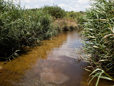 Έστειλαν εγκύκλιο στις βιομηχανίες κοντά στον Ασωπό