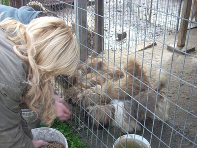 Έκκληση για βοήθεια από τον Φιλοζωικό Όμιλο Σερρών!