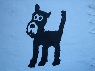 Οι σωτήρες των ζώων στη Σκιάθο!