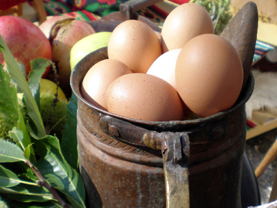 Ένωση Αυγοπαραγωγών Ελλάδος: καταναλώστε άφοβα αυγά!