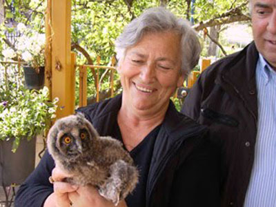 Βρήκαν μπούφο στο κοτέτσι τους