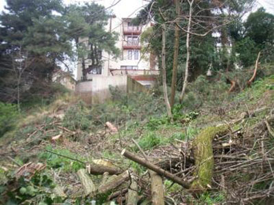 Ο Δήμος Ιωαννιτών και το Grand Serai καταστρέφουν το πράσινο