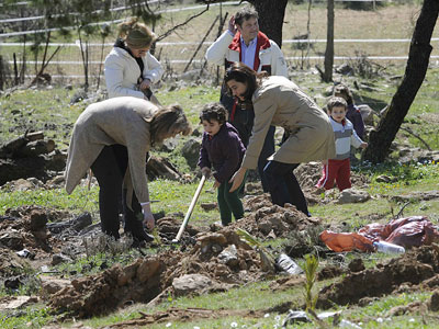 Αναδάσωση στον Καλόγερο της Πάτρας