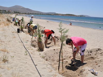 Φύτεψαν δέντρα