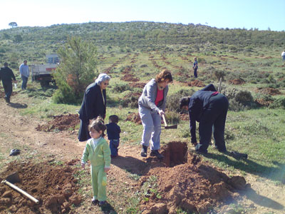 Φύτευσαν 3.000 δενδρύλλια στην περιοχή της Χωράφας