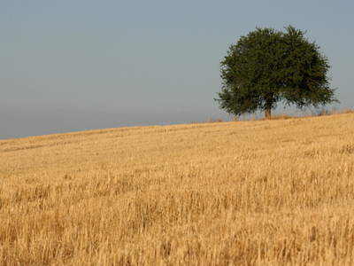 Νέες περιοχές εντάσσονται στο Κτηματολόγιο