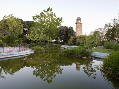 Εξαγριωμένα σκυλιά τα έσωσαν πάλι οι ιδιώτες