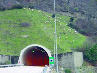 Έβοσκε το κοπάδι του στην Εγνατία Οδό!