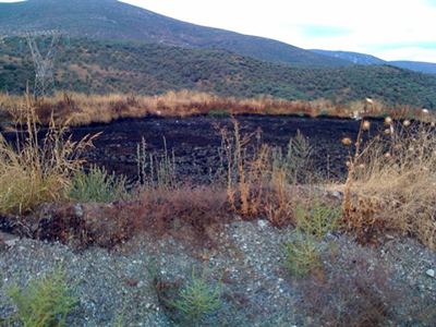 Χάος με τα απόβλητα των ελαιοτριβείων
