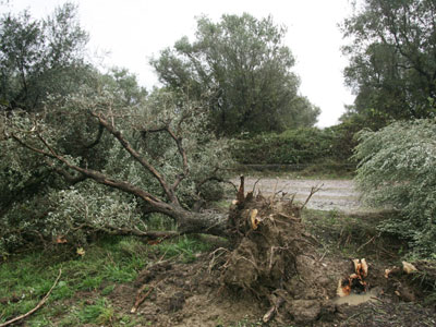 Ανεμοστρόβιλος έφερε τα πάνω-κάτω