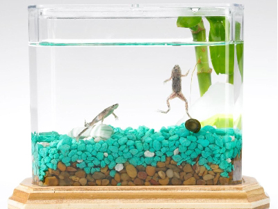 Η PETA κατά του ενυδρείου της φρίκης!