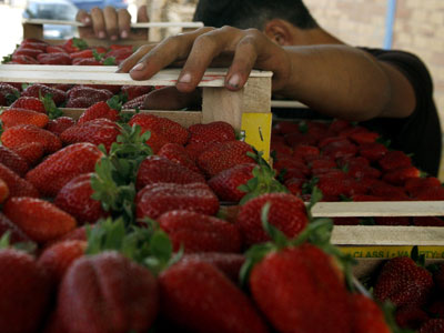 «Πρώτη Μαρτίου 2010 – 24 ώρες χωρίς εμάς»