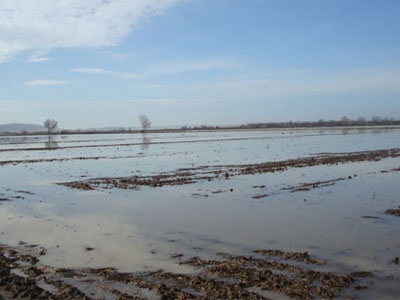 Δεν επιβεβαιώνονται οι πληροφορίες περί εκκένωσης των Πόρων Έβρου