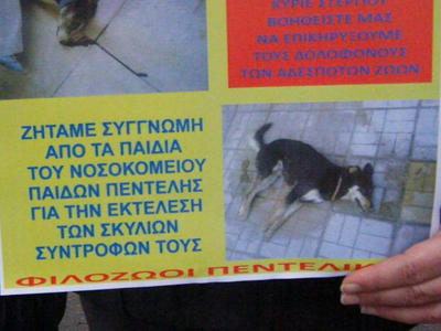 Ελάχιστοι διαμαρτυρήθηκαν για το έγκλημα σε βάρος των ζώων του Νοσοκομείου Παίδων Πεντέλης