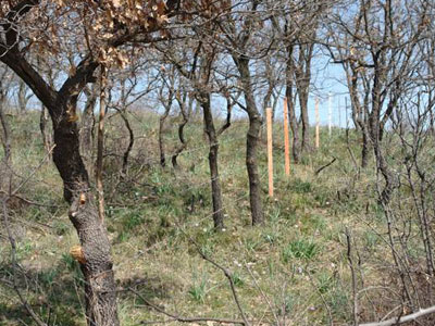 Οικοπεδοφάγοι απείλησαν πολίτη