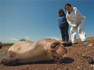 «Υιοθετήστε» τον Μάρκο