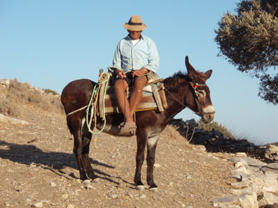Δωρεάν έλεγχος για γαϊδούρια και μουλάρια!