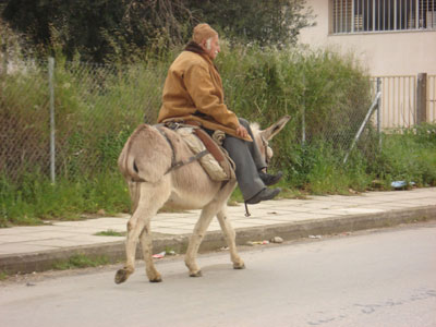 Καλύτερα με γαϊδούρια…