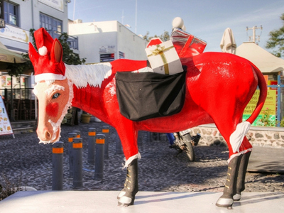 Στο CNN το γαϊδούρι του Άγιου Βασίλη στα Φηρά της Σαντορίνης