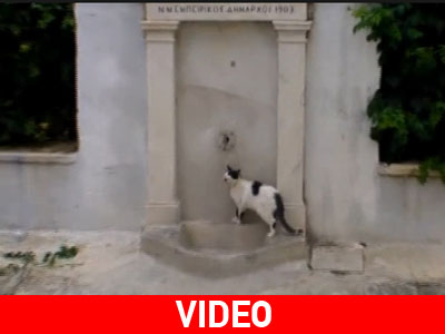 Πίνει νερό μόνο από τη μαρμάρινη βρύση