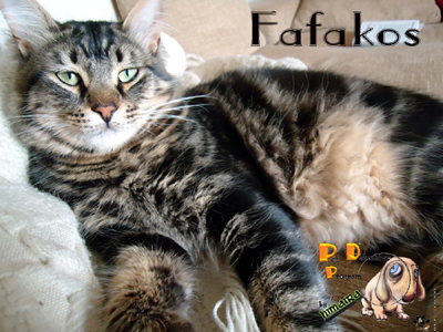 Χάθηκε στην Κατερίνη