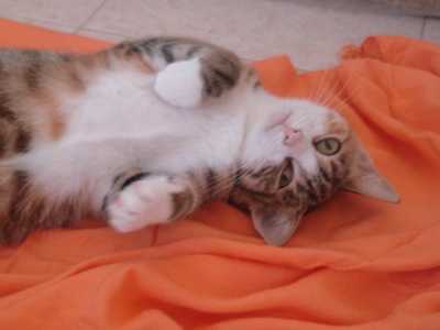 Η Ελπίδα χαρίζεται