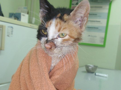 Τα αγκίστρια της έκοψαν τη γλώσσα