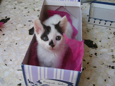 Χαρίζονται η Σάλμα και η Σακίρα