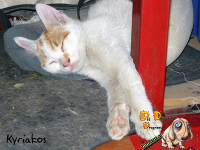 Χάθηκε στην Πυλαία Θεσσαλονίκης