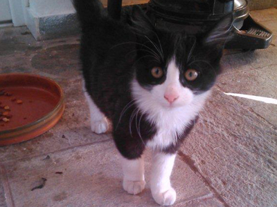 Χαρίζονται ο Τζίνος και η Τζίνα