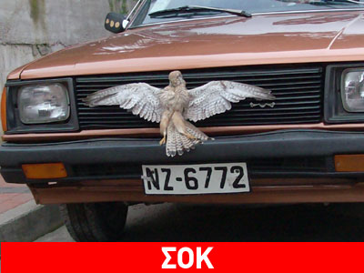 Κόλλησε το σκοτωμένο γεράκι στο αυτοκίνητό του