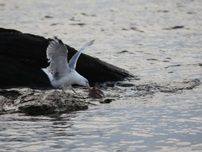 Έγινε η ταυτοποίηση των στοιχείων