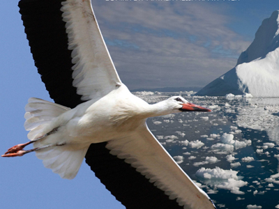 Ημερίδα για την βιοποικιλότητα