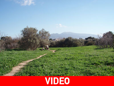 Έβαλε στύλους στον περίβολο μοναστηριού