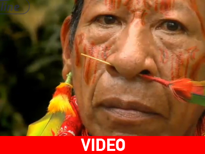 «Το αίμα του Κουάν Κουάν» μεγάλος νικητής στο Ρίο ντε Τζανέιρο