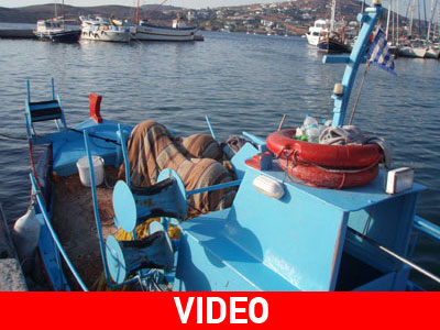 Το φυτοπλακτόν πλήττει ακόμα τους ψαράδες